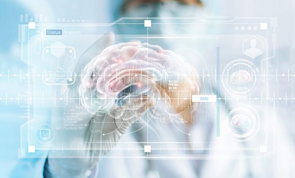 Pituitary/Hypophysis