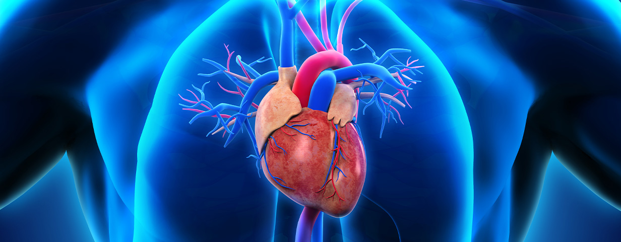 Cirurgia Cardiovascular