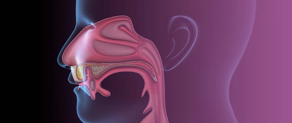 Presentado en la sesión plenaria de asco, el estudio JUPITER-02 trajo resultados prometedores para el carcinoma nasofaríngeo