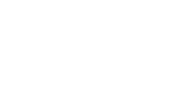 Palliative Connection 29/09