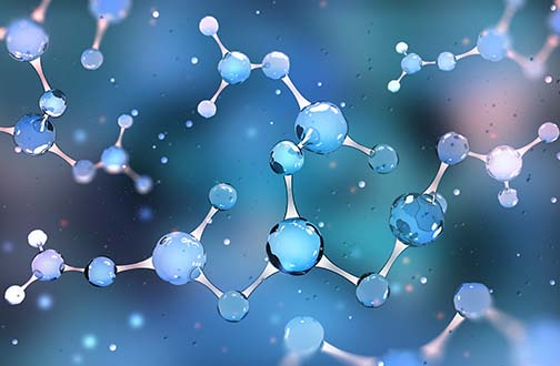 Molecular Conferences